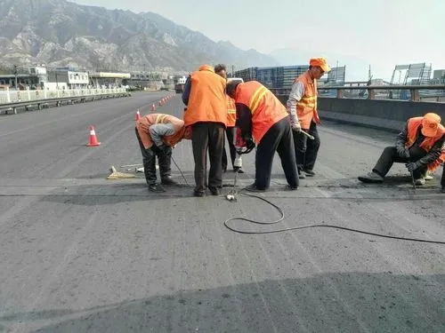 平谷道路桥梁病害治理